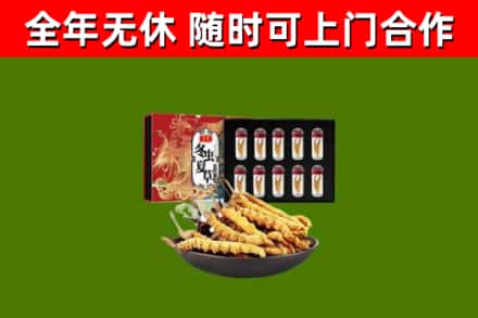 眉山回收冬虫夏草价格